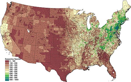 County_Serpentine.png County_Serpentine.png